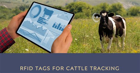 cow identification and tracking system using rfid|cow tracking algorithm.